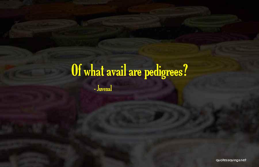 Avail Quotes By Juvenal Avail Quotes By Juvenal