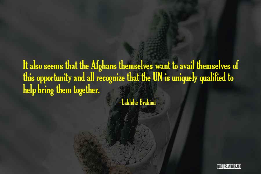 Avail Yourself Quotes By Lakhdar Brahimi Avail Yourself Quotes By Lakhdar Brahimi