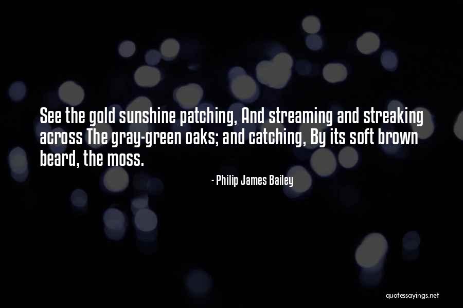 Availeth Scriptures Quotes By Philip James Bailey Availeth Scriptures Quotes By Philip James Bailey