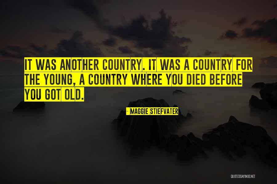 Avaira Toric Contact Quotes By Maggie Stiefvater Avaira Toric Contact Quotes By Maggie Stiefvater