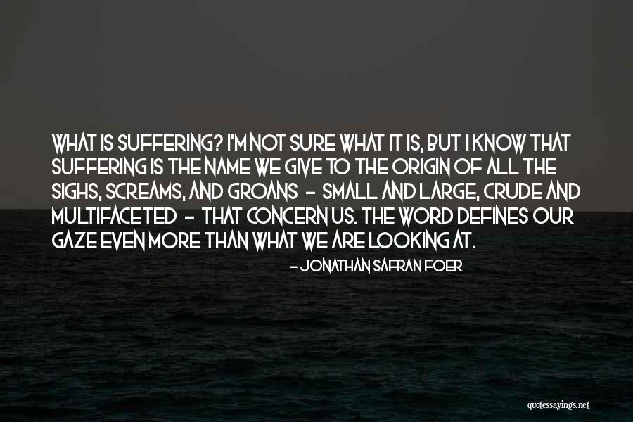 Avalleyviewhotlunch Quotes By Jonathan Safran Foer Avalleyviewhotlunch Quotes By Jonathan Safran Foer