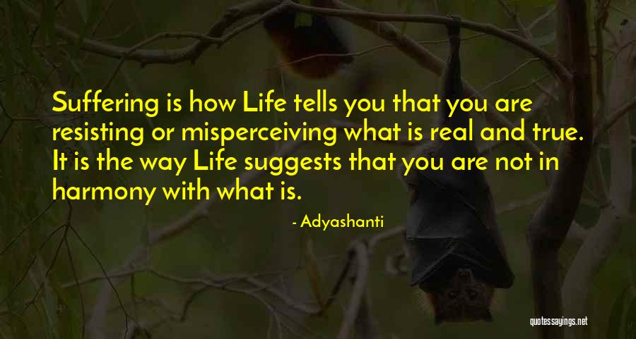Avanamccormick Quotes By Adyashanti Avanamccormick Quotes By Adyashanti