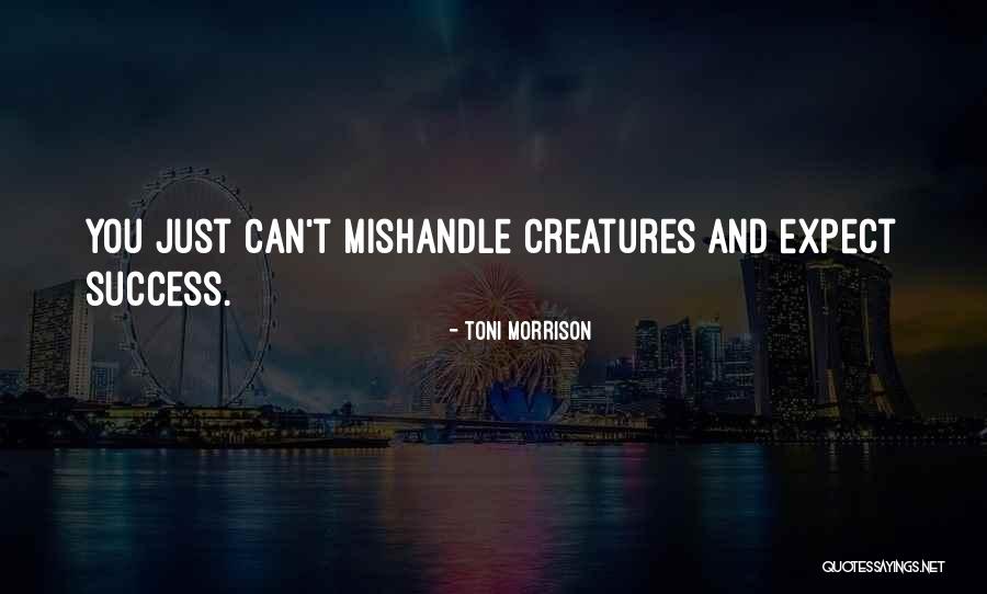 Avanzini Homes Quotes By Toni Morrison Avanzini Homes Quotes By Toni Morrison