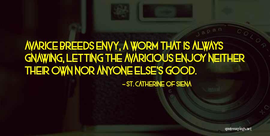 Avaricious Quotes By St. Catherine Of Siena