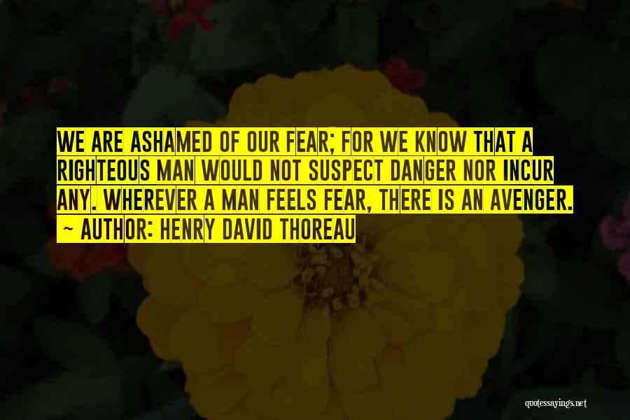 Avenger 2 Quotes By Henry David Thoreau