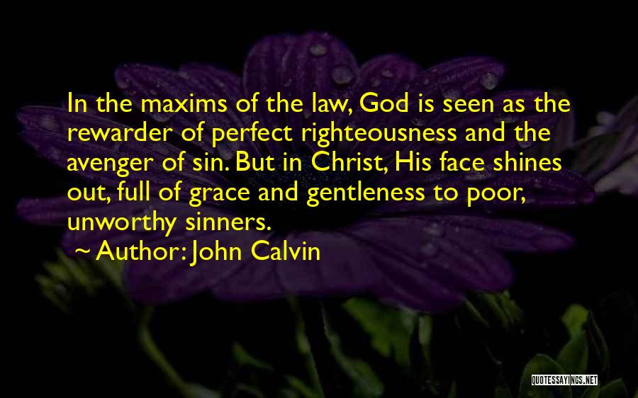 Avenger Quotes By John Calvin