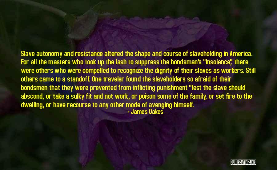 Avenging Quotes By James Oakes Avenging Quotes By James Oakes