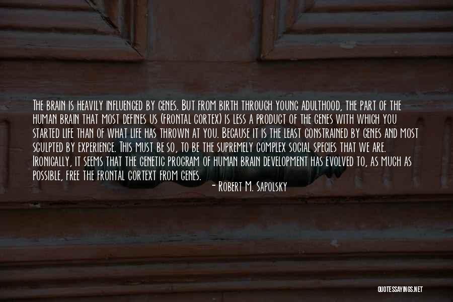 Aventura Famous Quotes By Robert M. Sapolsky Aventura Famous Quotes By Robert M. Sapolsky