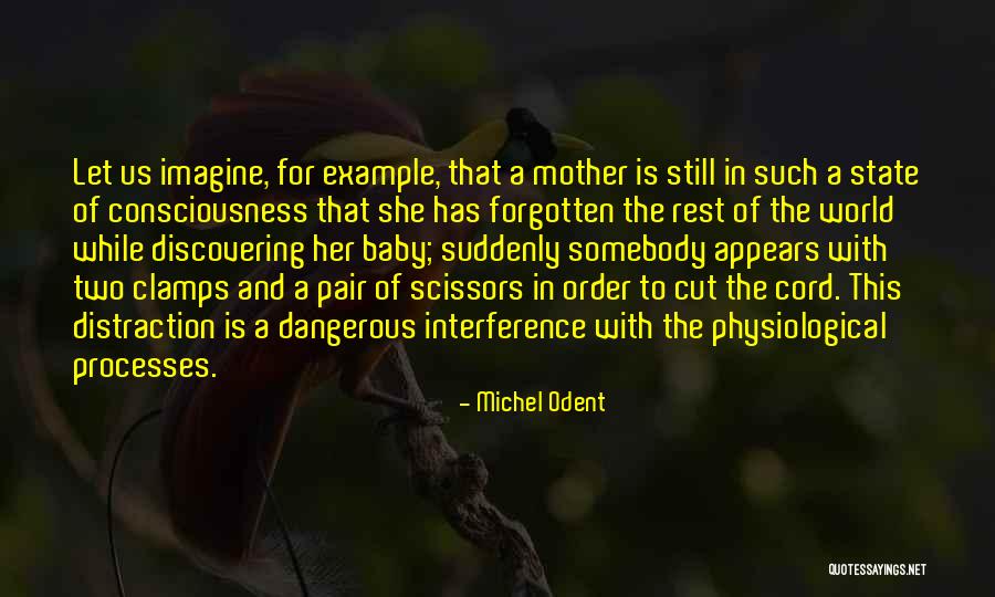 Aventuras En Quotes By Michel Odent Aventuras En Quotes By Michel Odent