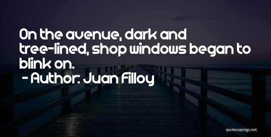 Avenue Quotes By Juan Filloy