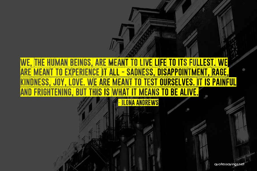Averea Lui Quotes By Ilona Andrews Averea Lui Quotes By Ilona Andrews