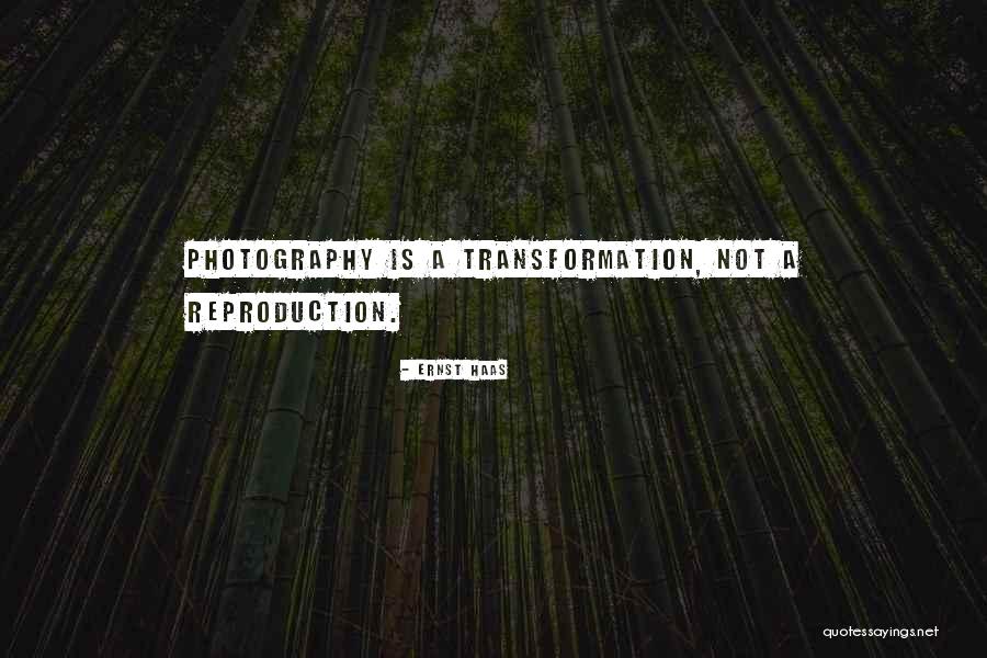 Avergonzadamente Quotes By Ernst Haas Avergonzadamente Quotes By Ernst Haas