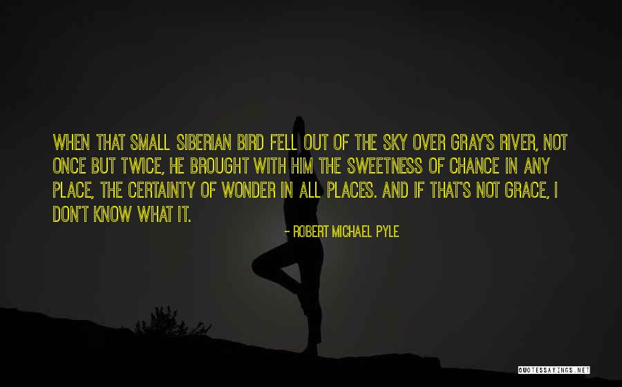Averiguar Sinonimo Quotes By Robert Michael Pyle Averiguar Sinonimo Quotes By Robert Michael Pyle
