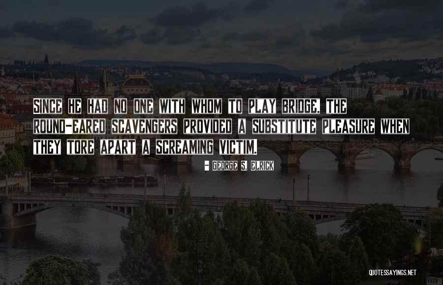 Avgusta Delvig Quotes By George S. Elrick Avgusta Delvig Quotes By George S. Elrick