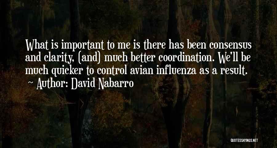 Avian Influenza Quotes By David Nabarro
