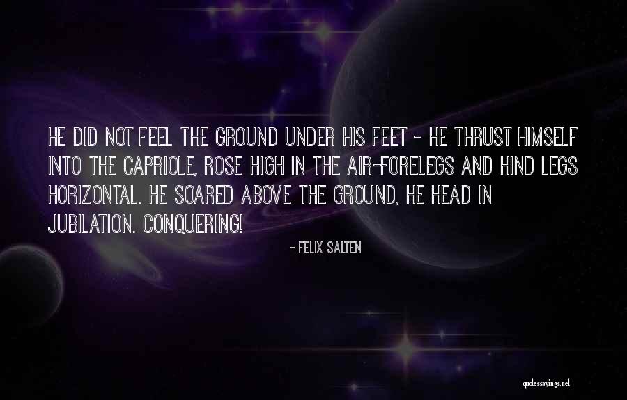 Aviaries Quotes By Felix Salten Aviaries Quotes By Felix Salten