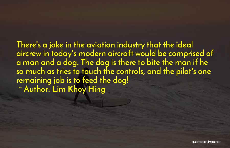 Aviation Industry Quotes By Lim Khoy Hing