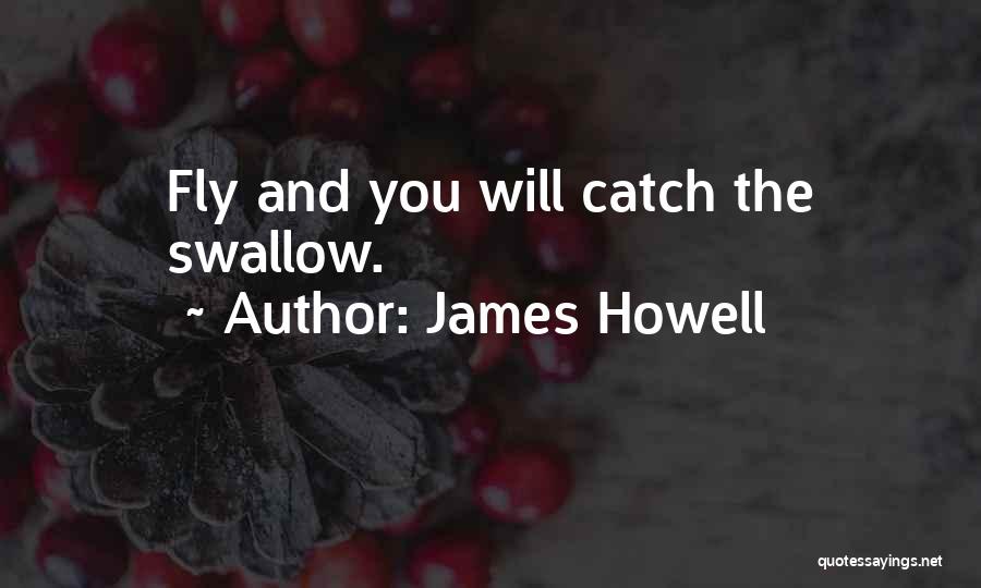 Aviation Quotes By James Howell