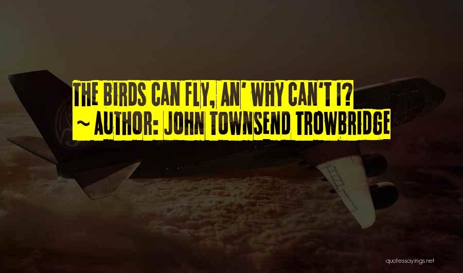 Aviation Quotes By John Townsend Trowbridge