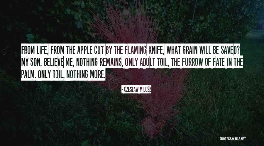 Avidor Quotes By Czeslaw Milosz Avidor Quotes By Czeslaw Milosz