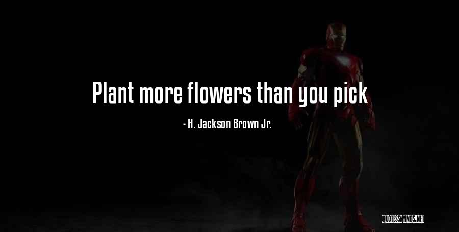 Avie Pocket Quotes By H. Jackson Brown Jr. Avie Pocket Quotes By H. Jackson Brown Jr.
