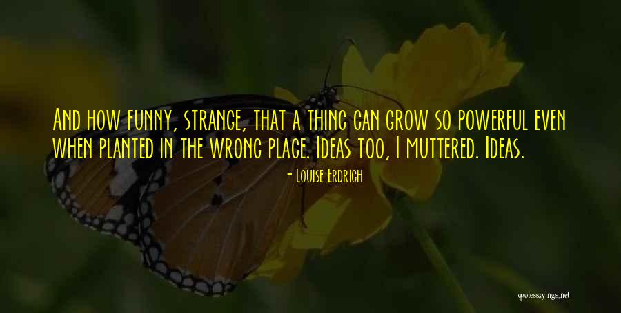 Avies Pro Quotes By Louise Erdrich Avies Pro Quotes By Louise Erdrich