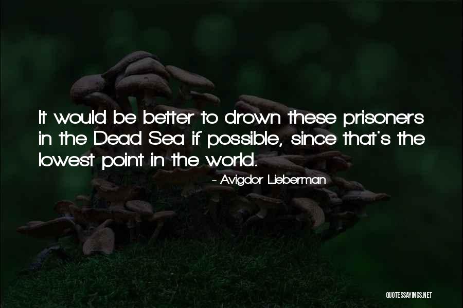 Avigdor Quotes By Avigdor Lieberman Avigdor Quotes By Avigdor Lieberman