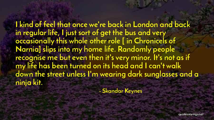 Avilir Synonyme Quotes By Skandar Keynes Avilir Synonyme Quotes By Skandar Keynes