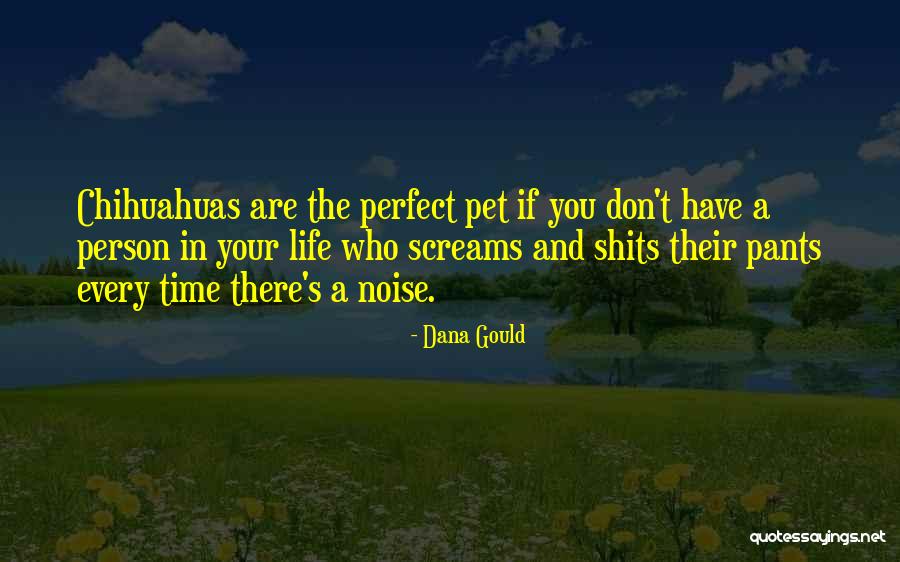Avise Ctd Quotes By Dana Gould Avise Ctd Quotes By Dana Gould