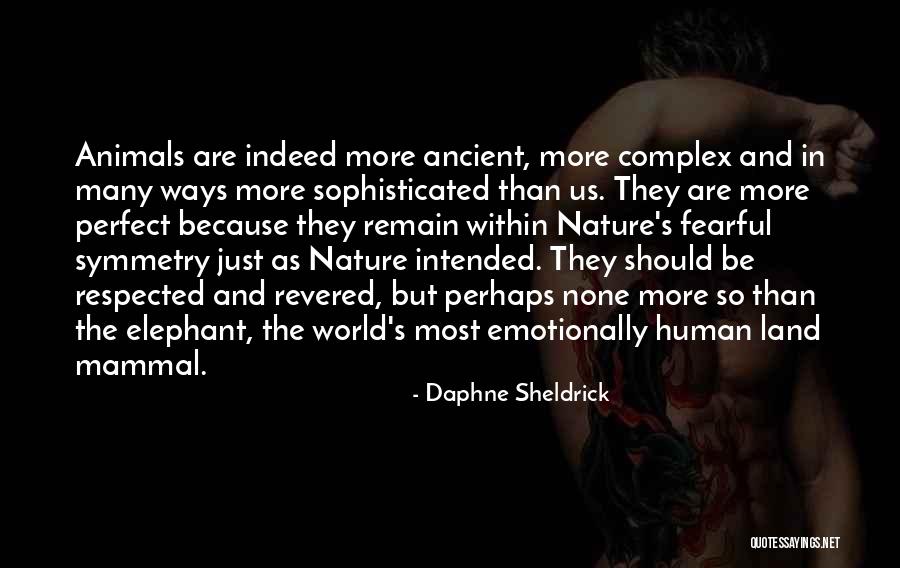 Avispon Negro Quotes By Daphne Sheldrick Avispon Negro Quotes By Daphne Sheldrick