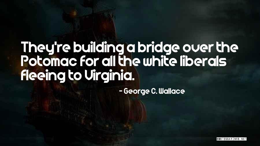 Avital Akko Quotes By George C. Wallace Avital Akko Quotes By George C. Wallace