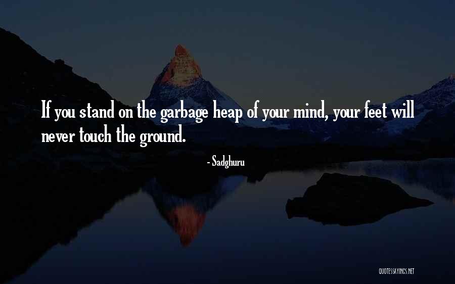 Avivando Os Quotes By Sadghuru Avivando Os Quotes By Sadghuru
