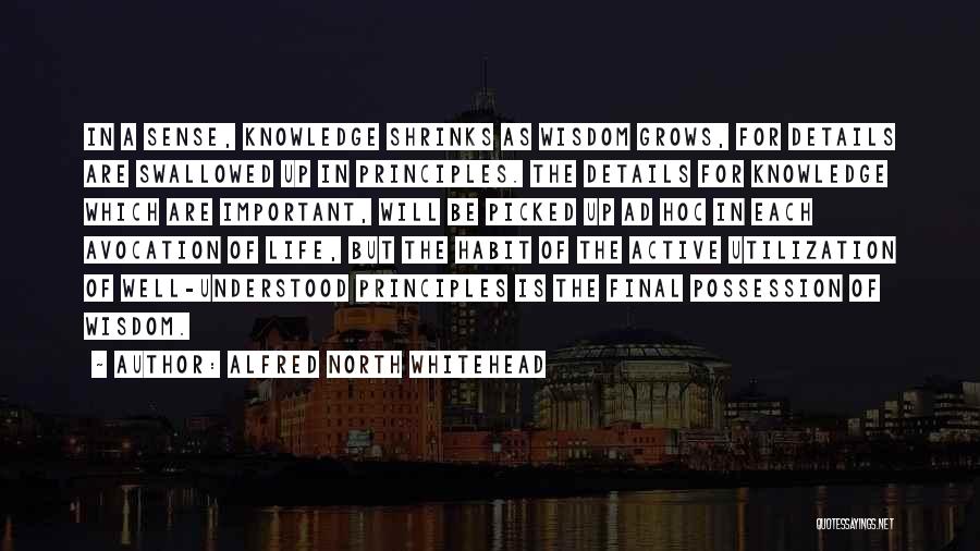 Avocation Quotes By Alfred North Whitehead