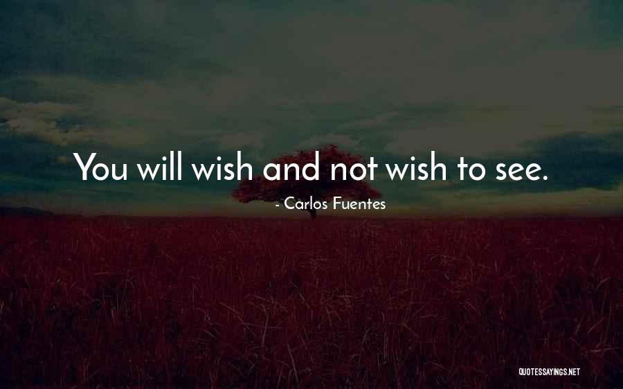 Avoidance Of Problems Quotes By Carlos Fuentes Avoidance Of Problems Quotes By Carlos Fuentes