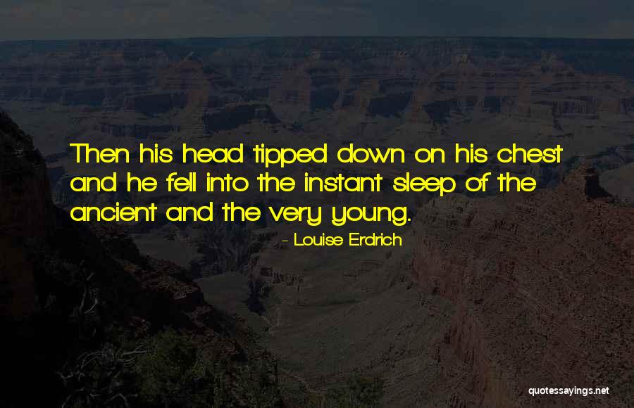 Avoidance Positive Quotes By Louise Erdrich Avoidance Positive Quotes By Louise Erdrich