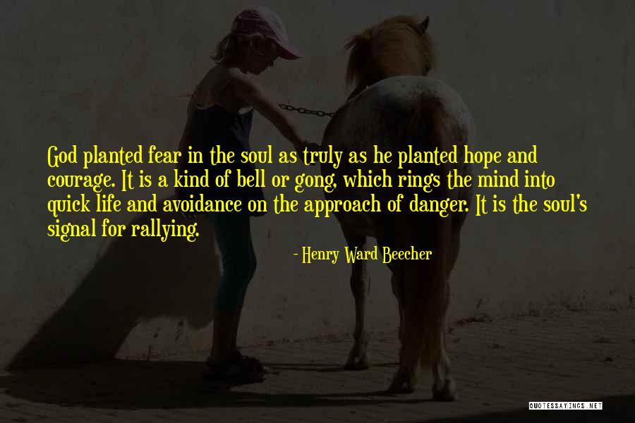 Avoidance Quotes By Henry Ward Beecher