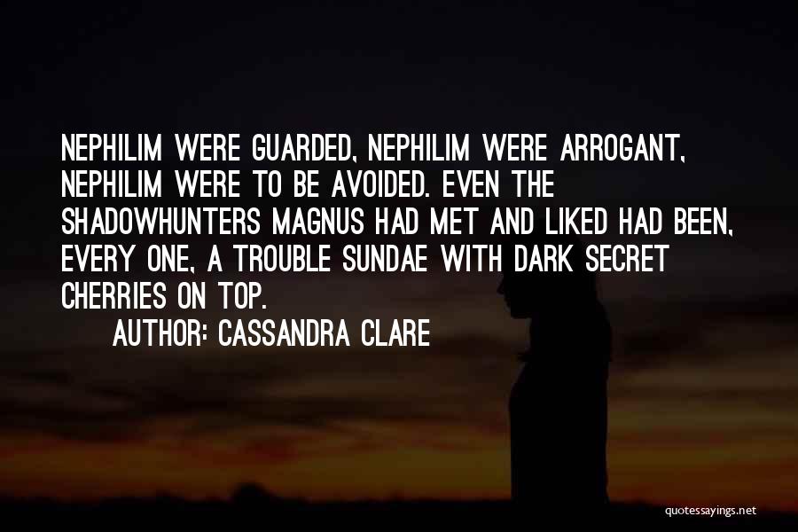 Avoided By Her Quotes By Cassandra Clare