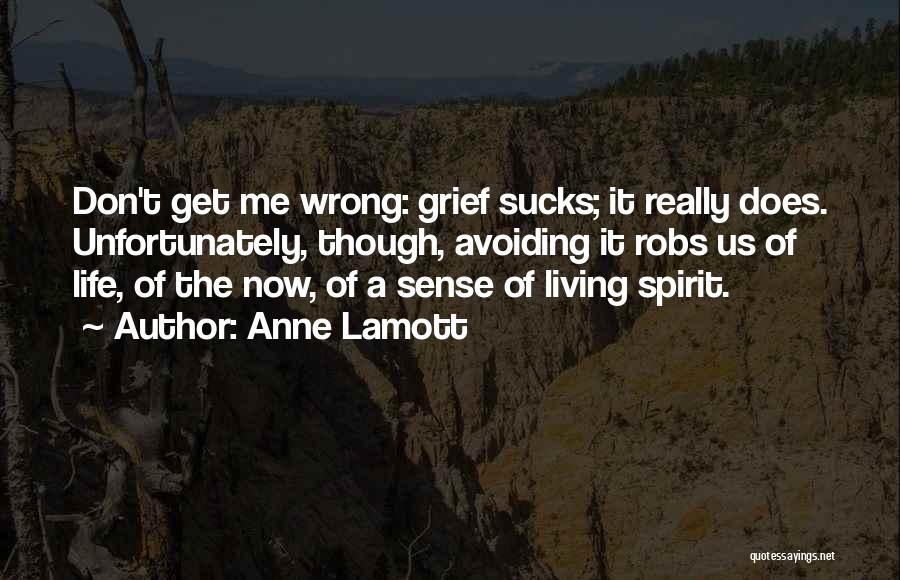 Avoiding Me Quotes By Anne Lamott