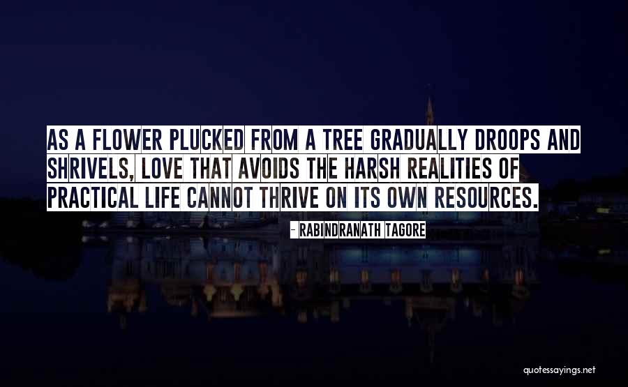 Avoids Quotes By Rabindranath Tagore Avoids Quotes By Rabindranath Tagore