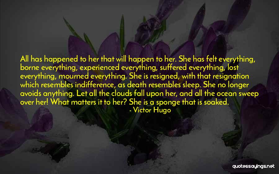 Avoids Quotes By Victor Hugo Avoids Quotes By Victor Hugo