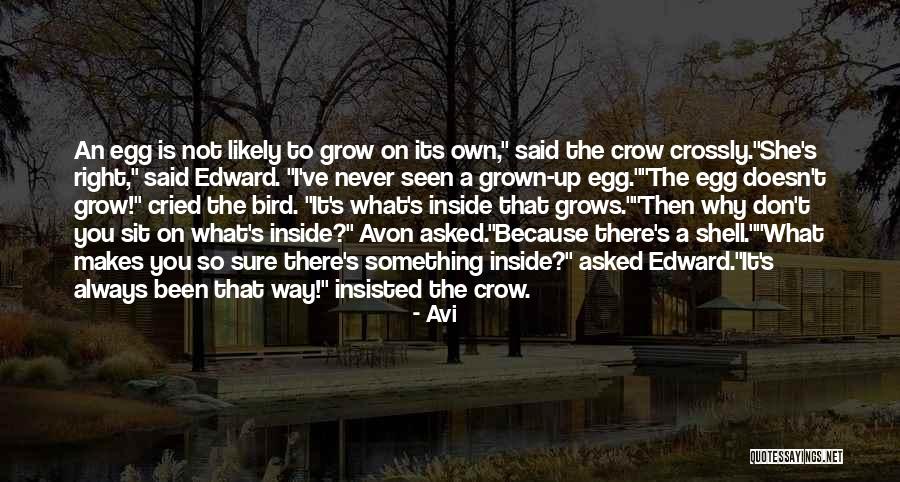 Avon Quotes By Avi Avon Quotes By Avi