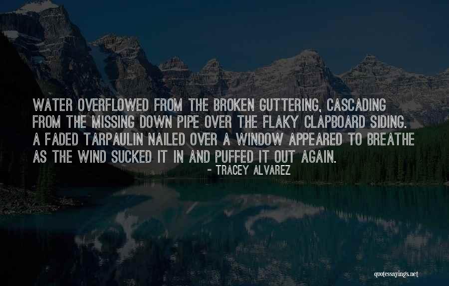 Avos Grill Quotes By Tracey Alvarez Avos Grill Quotes By Tracey Alvarez