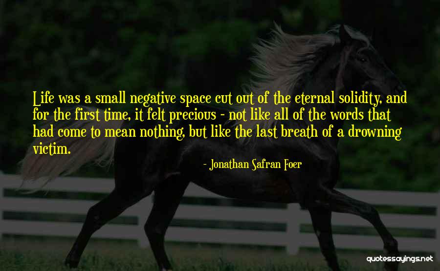 Avotaco Quotes By Jonathan Safran Foer Avotaco Quotes By Jonathan Safran Foer