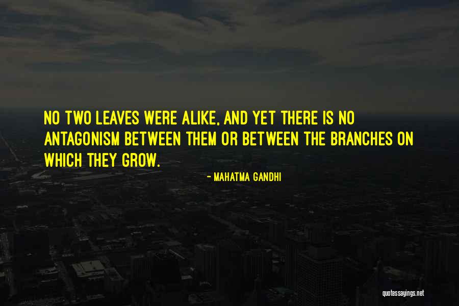 Avram Glazer Quotes By Mahatma Gandhi Avram Glazer Quotes By Mahatma Gandhi