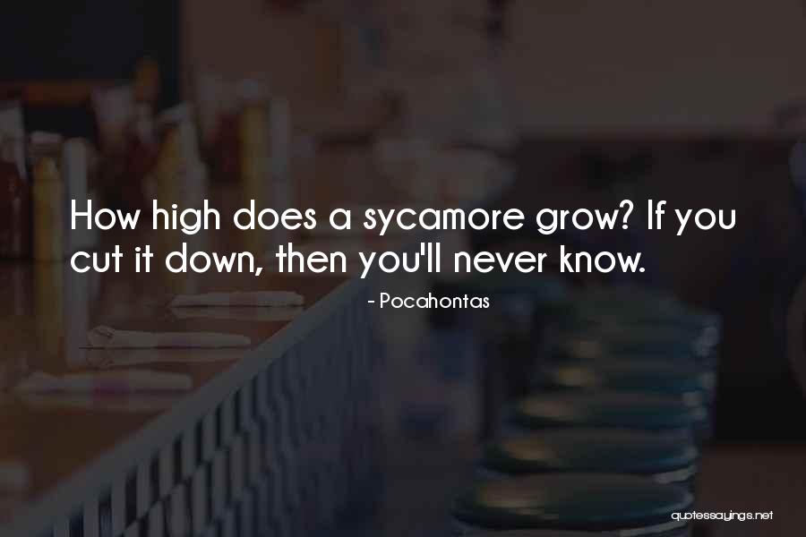 Avvilito Quotes By Pocahontas Avvilito Quotes By Pocahontas