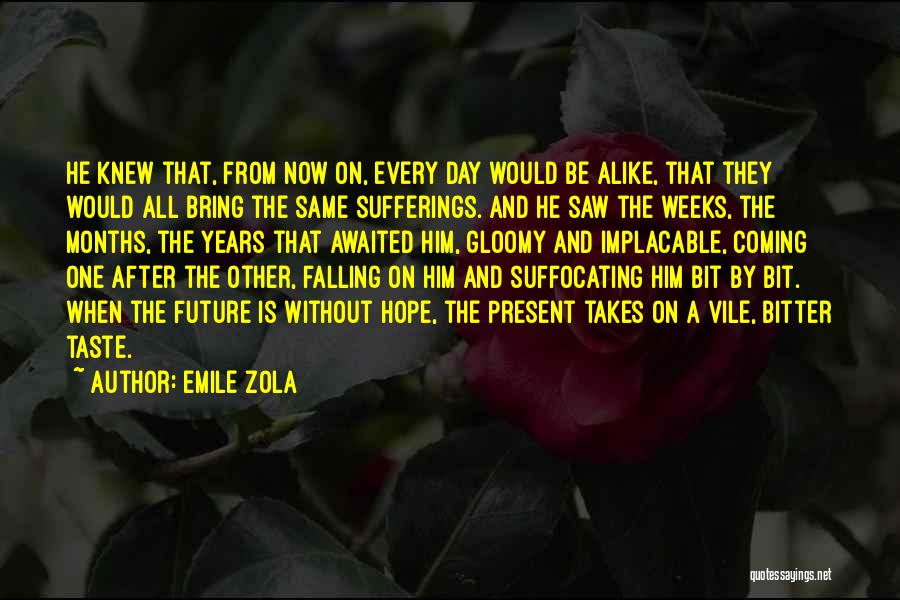 Awaited Quotes By Emile Zola