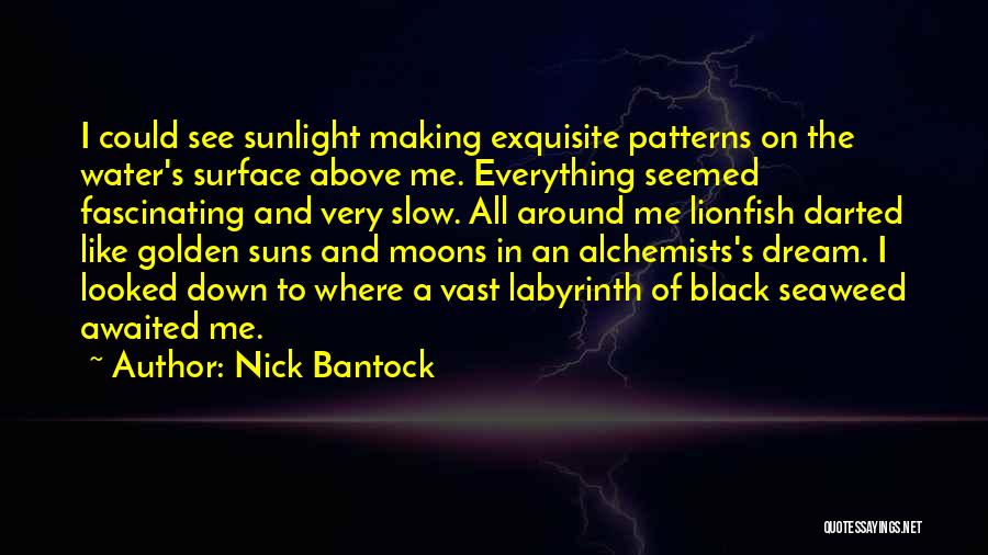 Awaited Quotes By Nick Bantock