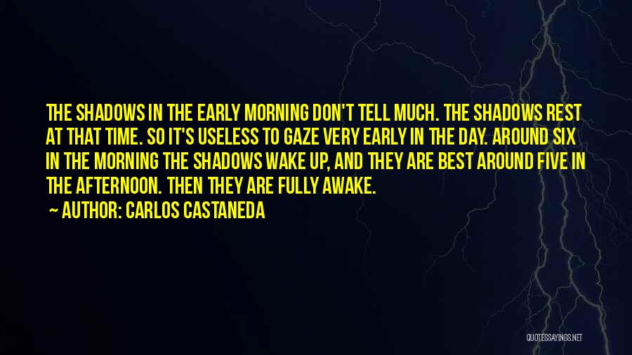 Awake Early Quotes By Carlos Castaneda