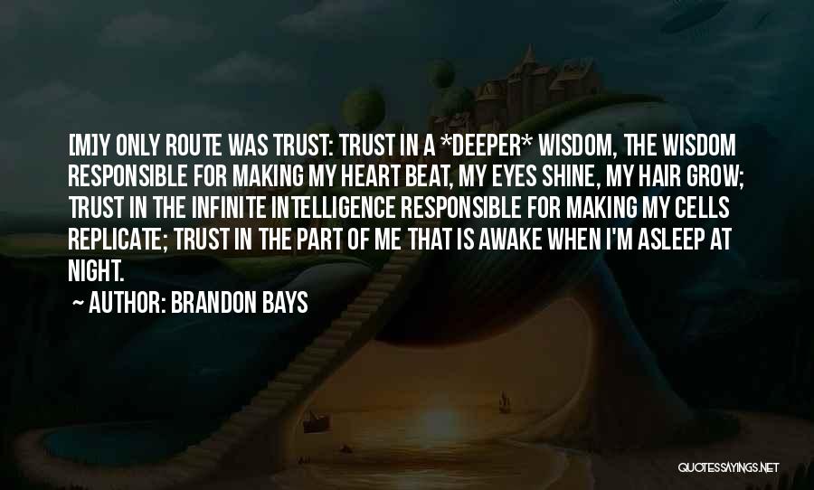 Awake In The Night Quotes By Brandon Bays