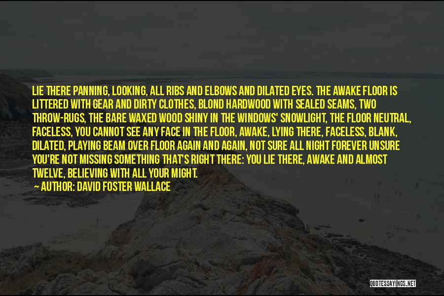 Awake In The Night Quotes By David Foster Wallace